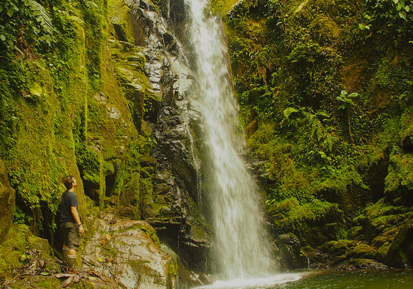Mindo 1 Day Trip From Quito