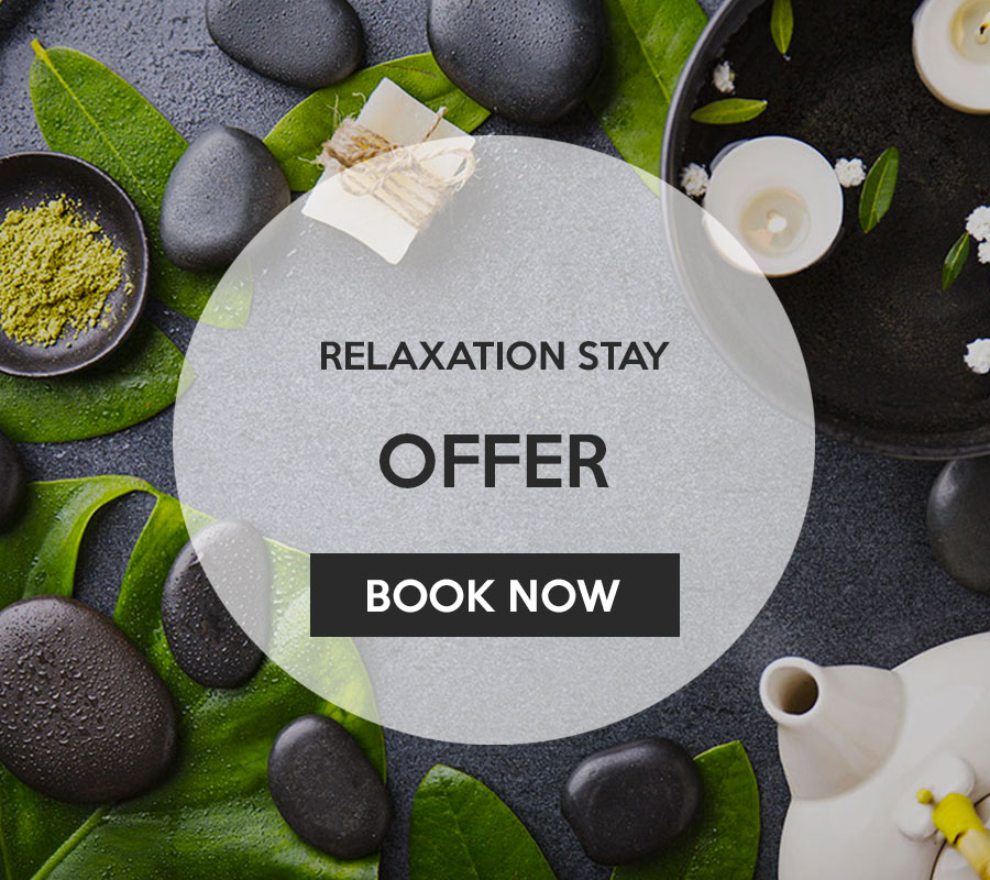 Mindo Suites Excursions Deals Mindo Suites Excursions Deals