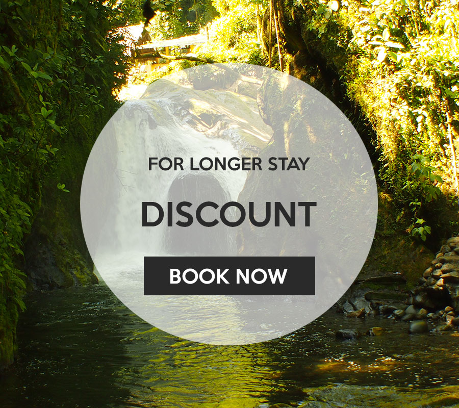 Mindo Suites Excursions Deals Mindo Suites Excursions Deals
