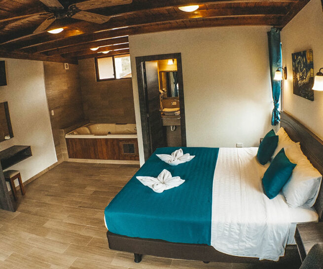 King Suite with Jacuzzi
